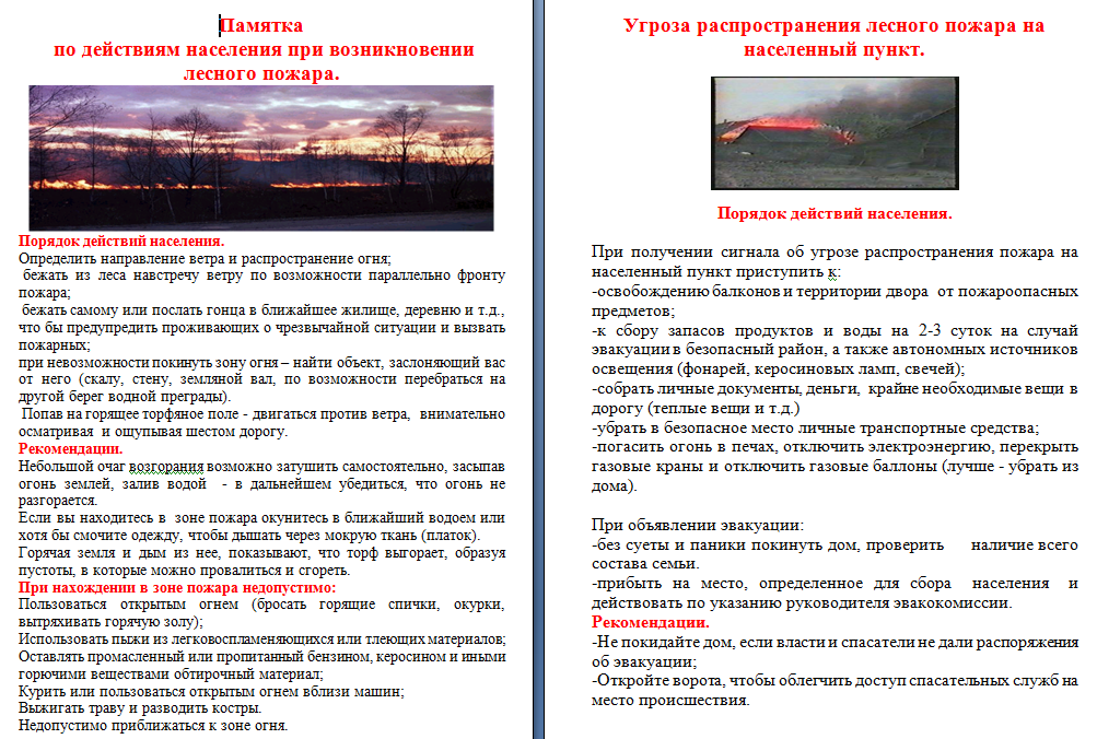 Памятка по действиям населения при возникновении лесного пожара.